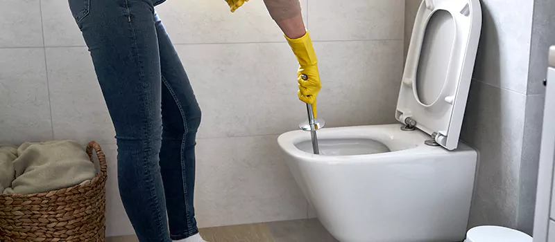 Professional Clogged Toilet Repair Matters in Al Marina, ABD