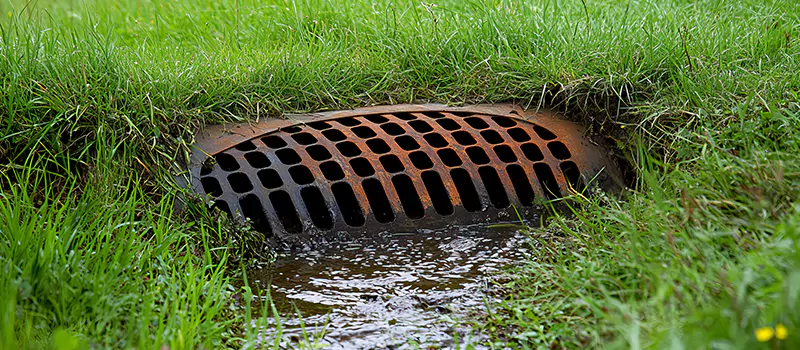 Shower Drain Replacement Services in Saadiyat marina district, ABD