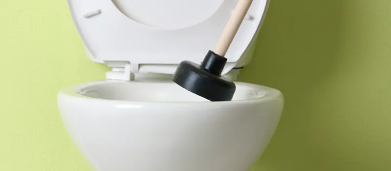 Benefits of Professional Clogged Toilet Repair in Al Marina, ABD